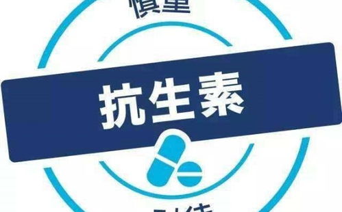 慢病界 广州南雪医疗器械将亮相2019年第十届中国慢病管理大会暨国际慢病管理论坛 慢病产业展
