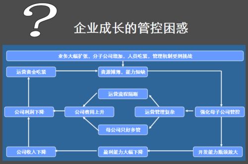 管理 房地产企业集团管控模式
