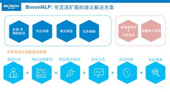 自然语义分析驱动大数据商业化 上海玻森的商业管理之道